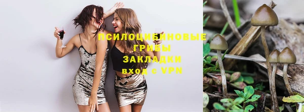 спиды Кукмор