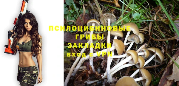гашик Горно-Алтайск