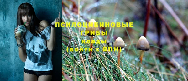 МДПВ Горняк