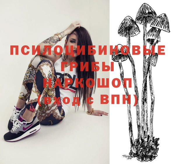 МДПВ Горняк