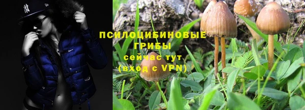 МДМА Горнозаводск