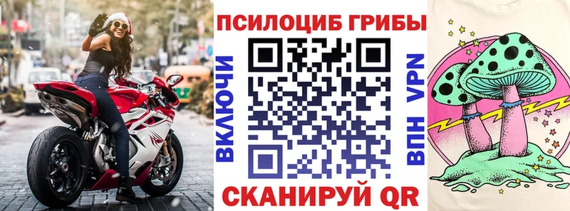 Галлюциногенные грибы MAGIC MUSHROOMS  Гусев 