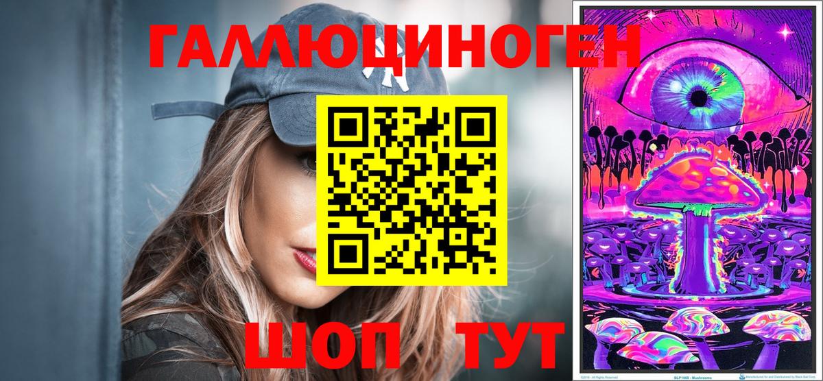 Гусев  Галлюциногенные грибы Psilocybine cubensis  Галлюциногенные грибы Psilocybe  Вход с VPN 